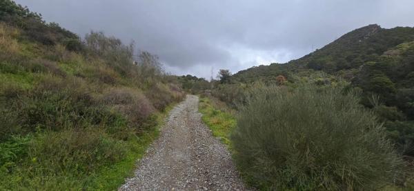 Terreno en camino de Estepona a Ronda