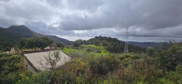 Terreno en camino de Estepona a Ronda