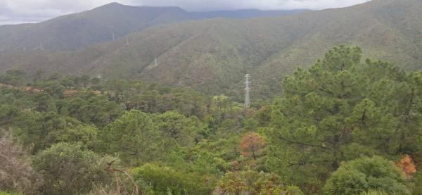 Terreno en camino de Estepona a Ronda