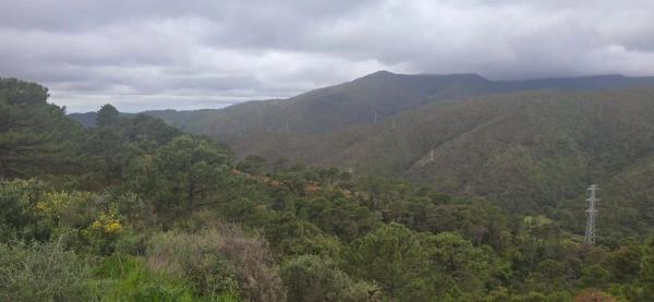 Terreno en camino de Estepona a Ronda