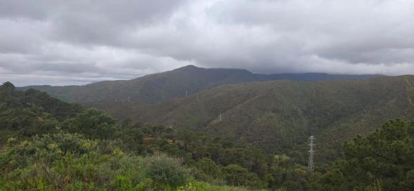 Terreno en camino de Estepona a Ronda