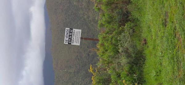 Terreno en camino de Estepona a Ronda