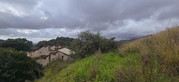 Terreno en camino de Estepona a Ronda