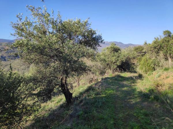 Terreno en camino Casa de los Majanales s/n