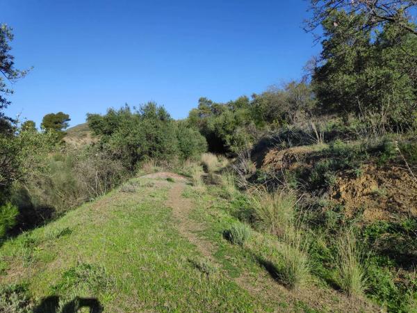 Terreno en camino Casa de los Majanales s/n