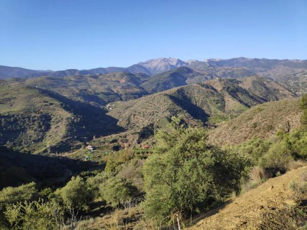 Terreno en camino Casa de los Majanales s/n