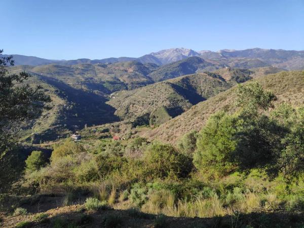 Terreno en camino Casa de los Majanales s/n