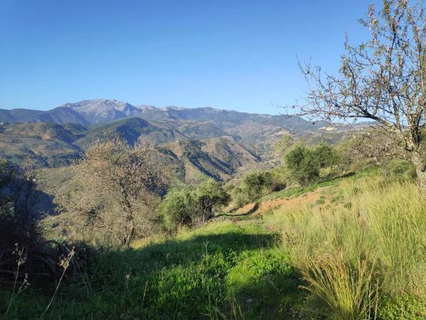 Terreno en camino Casa de los Majanales s/n