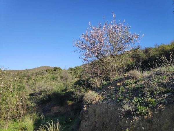 Terreno en camino Casa de los Majanales s/n