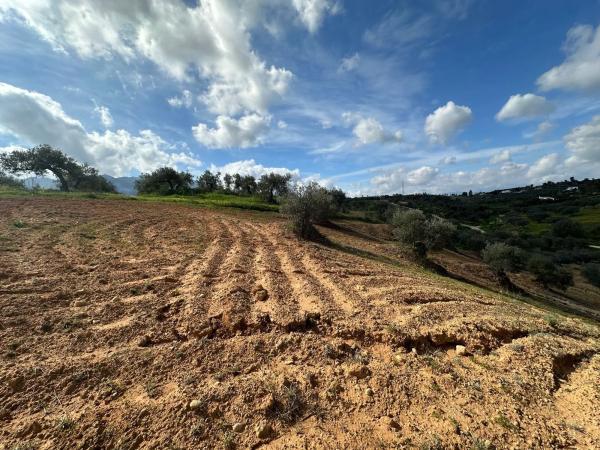 Terreno en camino el Grijo s/n