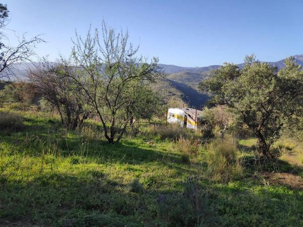 Terreno en camino Casa de los Majanales s/n