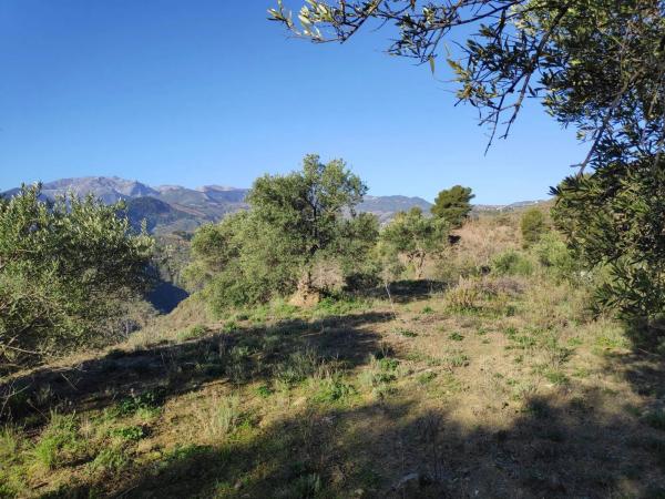 Terreno en camino Casa de los Majanales s/n