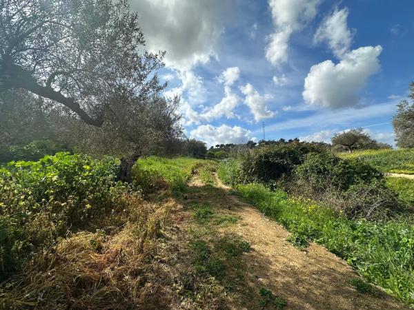 Terreno en camino el Grijo s/n