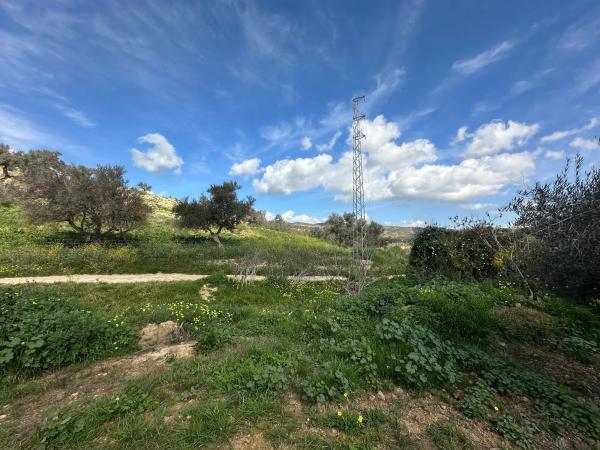 Terreno en camino el Grijo s/n