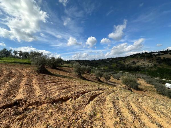 Terreno en camino el Grijo s/n