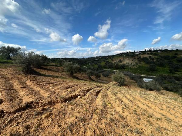 Terreno en camino el Grijo s/n