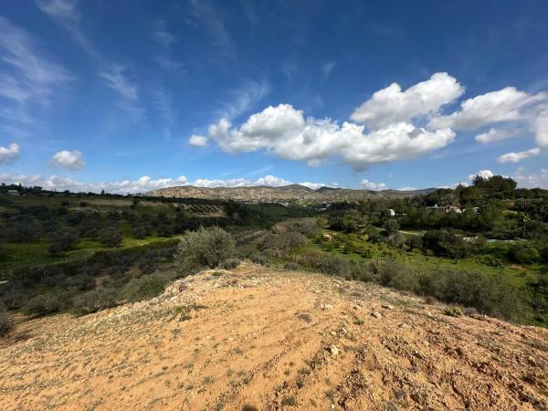 Terreno en camino el Grijo s/n