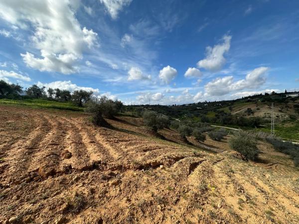 Terreno en camino el Grijo s/n