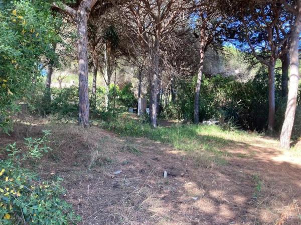 Terreno en Urbanización Coto Correa s/n