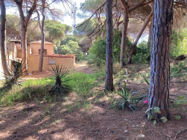 Terreno en Urbanización Coto Correa s/n