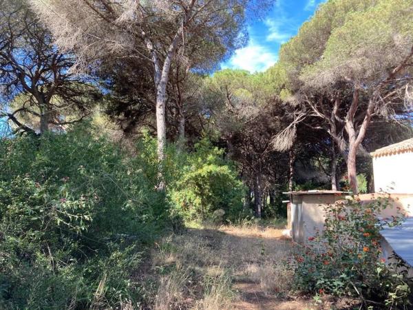 Terreno en Urbanización Coto Correa s/n