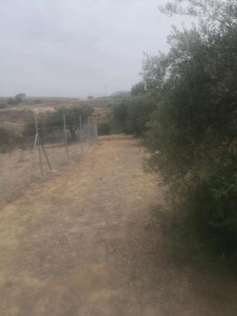 Terreno en camino Arroyo del Quejigal, 267 c