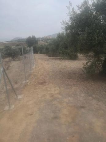 Terreno en camino Arroyo del Quejigal, 267 c