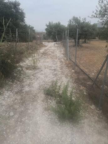 Terreno en camino Arroyo del Quejigal, 267 c