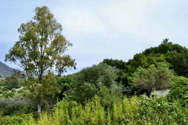 Terreno en calle del Agua, 164 -196