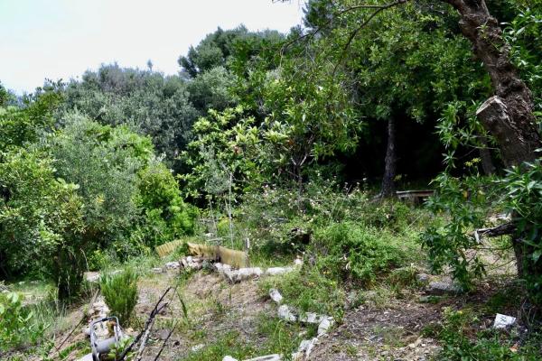 Terreno en calle del Agua, 164 -196