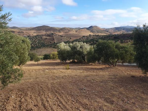 Terreno en A-343, km 4