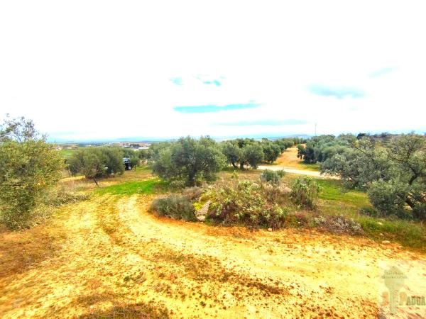 Terreno en Campillos