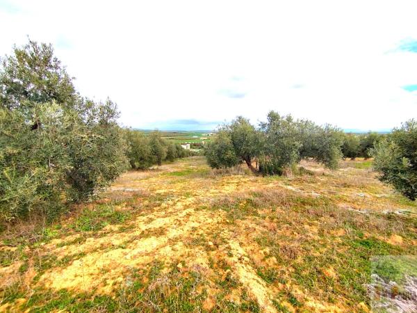 Terreno en Campillos