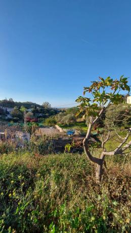 Terreno en cortijo los Pérez, 33