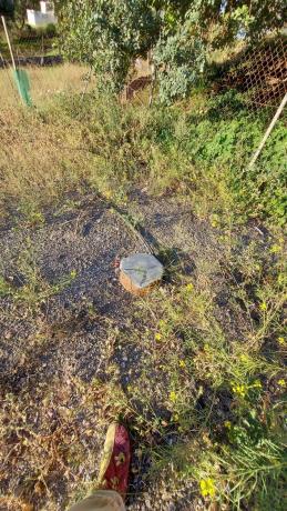 Terreno en cortijo los Pérez, 33