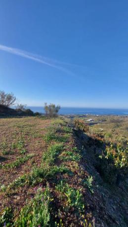 Terreno en cortijo los Pérez, 33