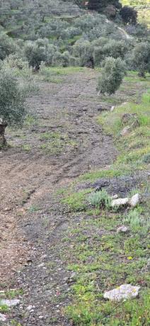 Terreno en plaza Federico Garcia Lorca, 16