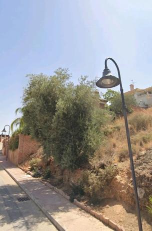 Terreno en calle Galatea, 4