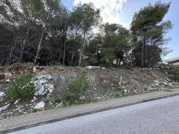 Terreno en Pinos de Alhaurín