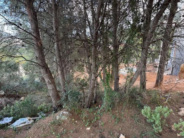 Terreno en Pinos de Alhaurín