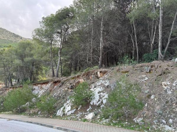 Terreno en Pinos de Alhaurín