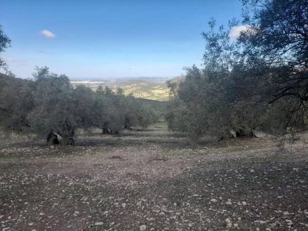 Terreno en El Quemado s/n