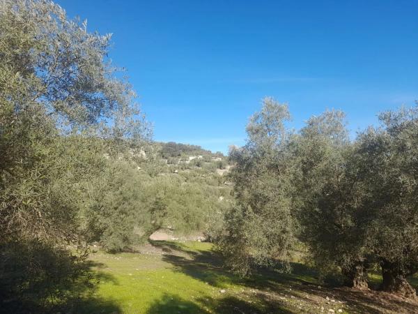 Terreno en El Quemado s/n