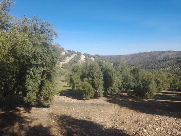 Terreno en El Quemado s/n