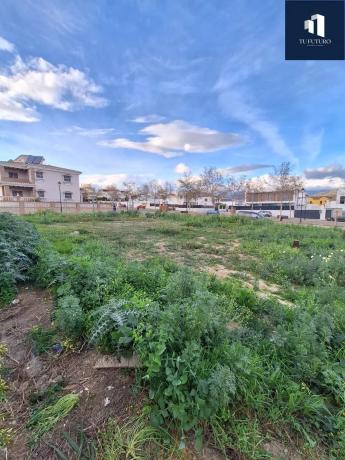 Terreno en El Tomillar