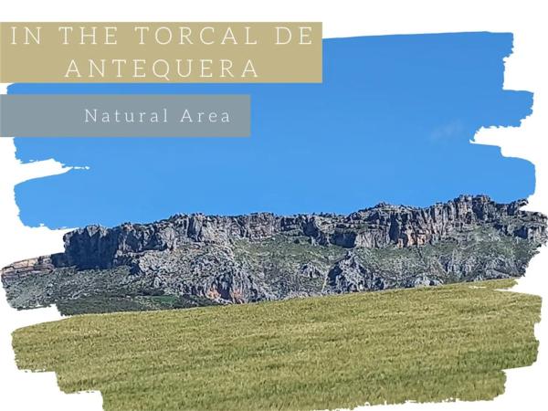 Terreno en Ma-3403, km 3