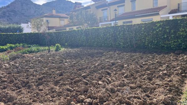 Terreno en calle pedrera