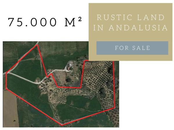 Terreno en Ma-3403, km 3