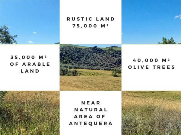 Terreno en Ma-3403, km 3