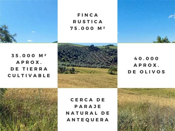 Terreno en Ma-3403, km 3